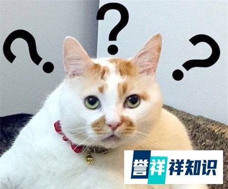 你身边的【伊能静疑似传销事件】还少吗?