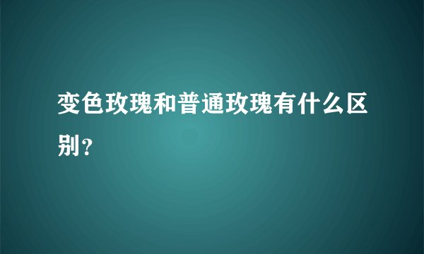 变色玫瑰和普通玫瑰有什么区别？