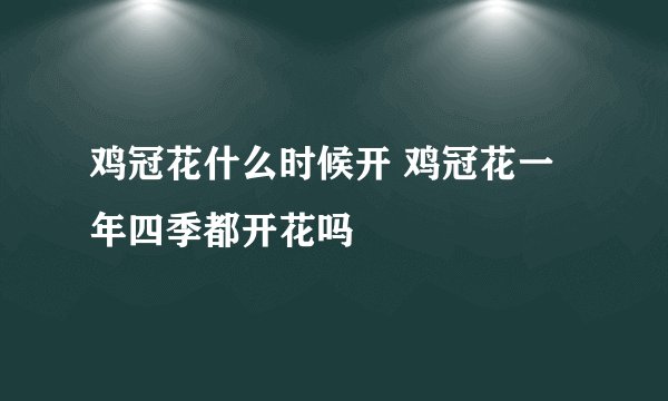 鸡冠花什么时候开 鸡冠花一年四季都开花吗