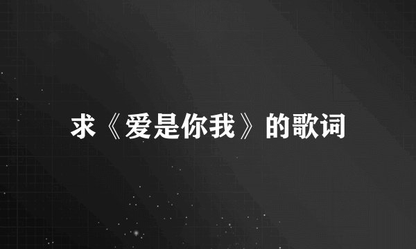 求《爱是你我》的歌词