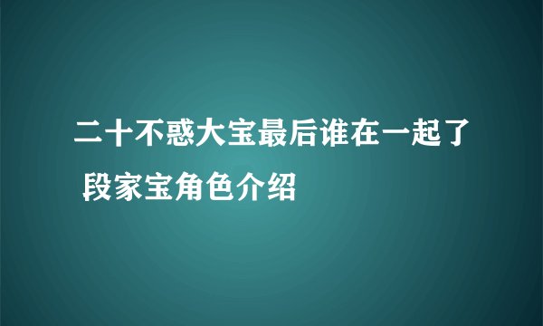 二十不惑大宝最后谁在一起了 段家宝角色介绍