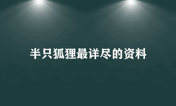 半只狐狸最详尽的资料