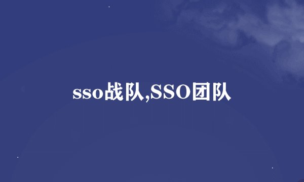 sso战队,SSO团队