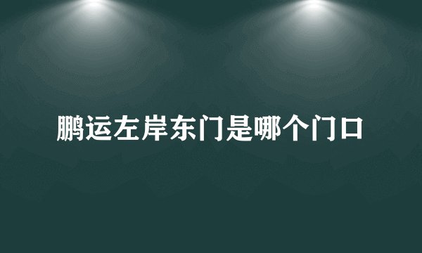 鹏运左岸东门是哪个门口