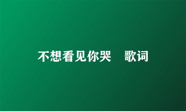 不想看见你哭 歌词