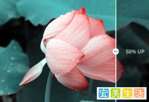 千元平价投影仪中微果C1 Pro能否称得上战斗机?