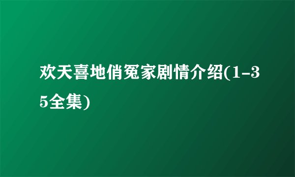 欢天喜地俏冤家剧情介绍(1-35全集)