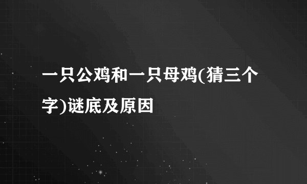一只公鸡和一只母鸡(猜三个字)谜底及原因