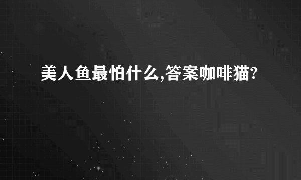 美人鱼最怕什么,答案咖啡猫?