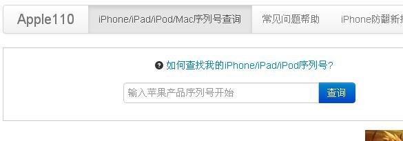 iPad mini激活时间查询