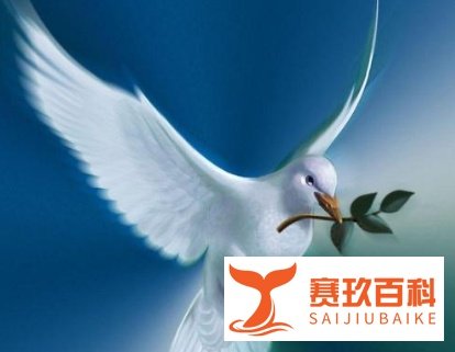 人们为什么把叼着橄榄枝的鸽子看成是和平与象征