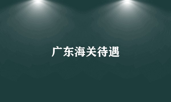 广东海关待遇