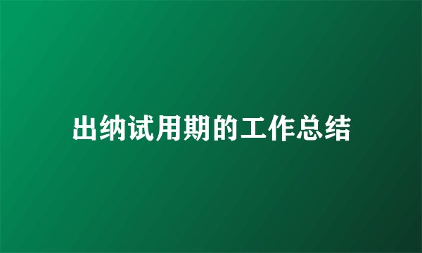 出纳试用期的工作总结