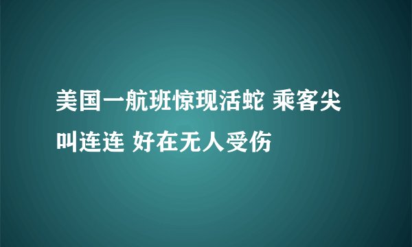 美国一航班惊现活蛇 乘客尖叫连连 好在无人受伤