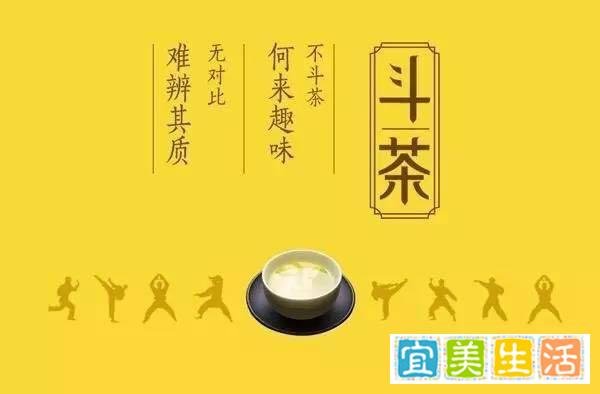 什么是斗茶？