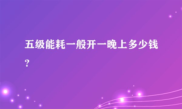 五级能耗一般开一晚上多少钱？