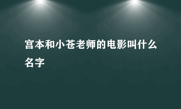 宫本和小苍老师的电影叫什么名字