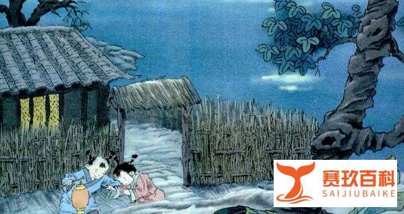 叶绍翁的夜书所见中的书是什么意思