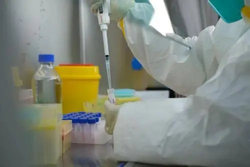 网友排队2小时做核酸，没想到是在买烤鸡，当时的心情是怎样的？