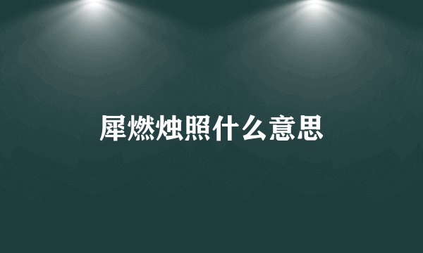 犀燃烛照什么意思