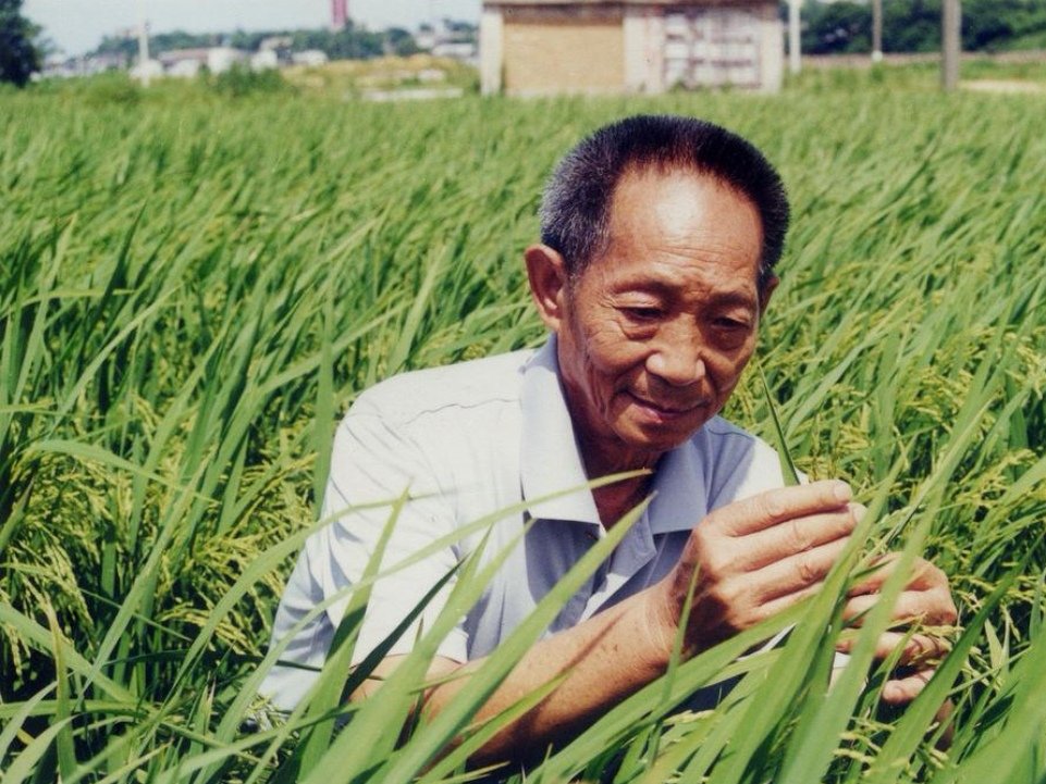 用泥塑致敬袁隆平,你觉得这位大叔做的泥塑怎么样?