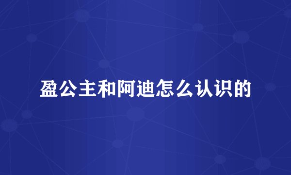 盈公主和阿迪怎么认识的