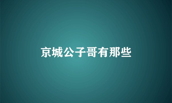 京城公子哥有那些