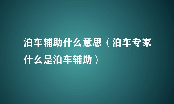 泊车辅助什么意思（泊车专家什么是泊车辅助）