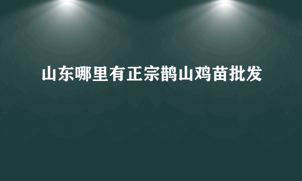 山东哪里有正宗鹊山鸡苗批发