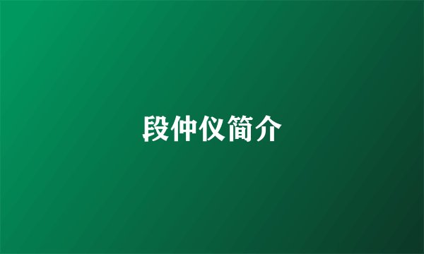 段仲仪简介