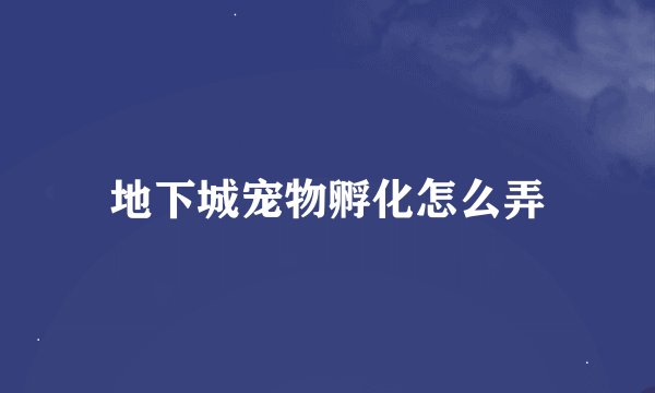 地下城宠物孵化怎么弄