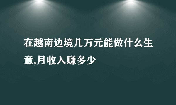 在越南边境几万元能做什么生意,月收入赚多少