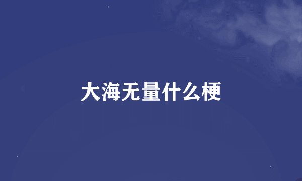 大海无量什么梗
