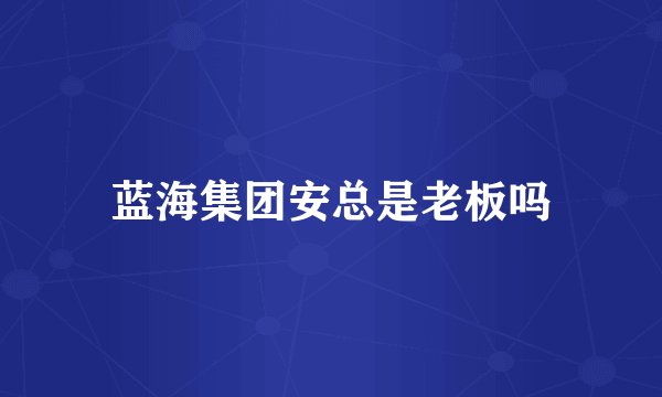 蓝海集团安总是老板吗