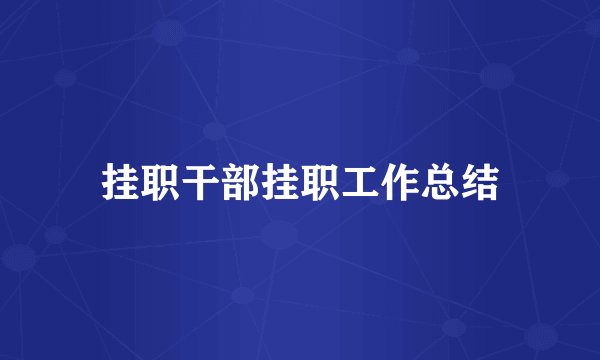 挂职干部挂职工作总结
