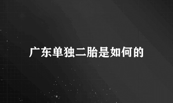 广东单独二胎是如何的