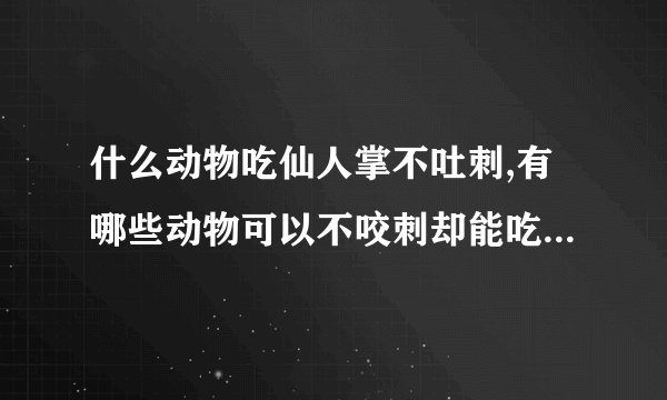 什么动物吃仙人掌不吐刺,有哪些动物可以不咬刺却能吃仙人掌？