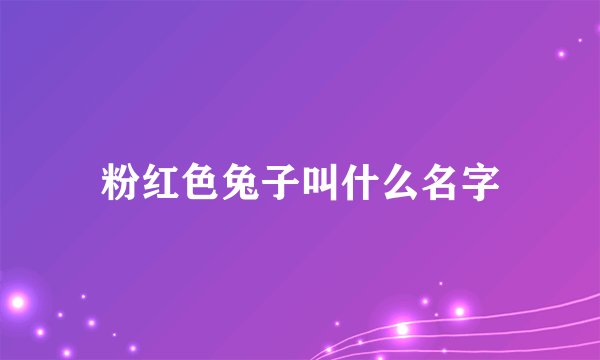 粉红色兔子叫什么名字