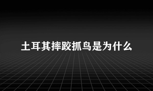 土耳其摔跤抓鸟是为什么