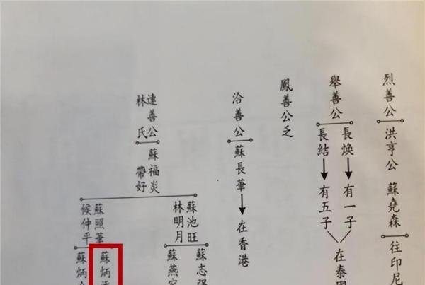 鼎桥TD Tech M40高配版首销;苏炳添是苏东坡第29代孙尚待考证