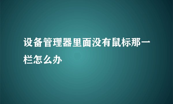 设备管理器里面没有鼠标那一栏怎么办