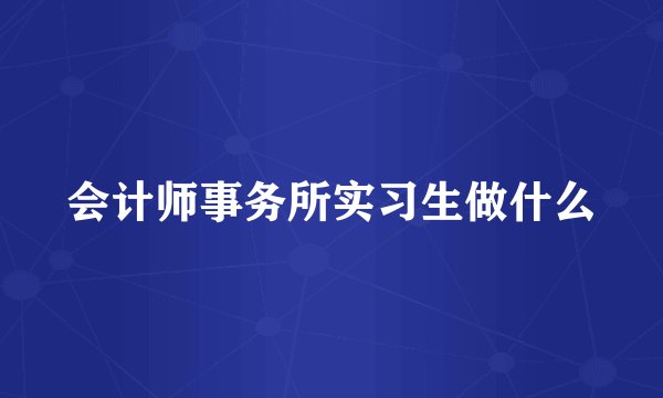 会计师事务所实习生做什么