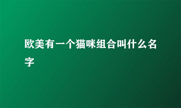 欧美有一个猫咪组合叫什么名字