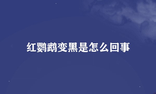 红鹦鹉变黑是怎么回事