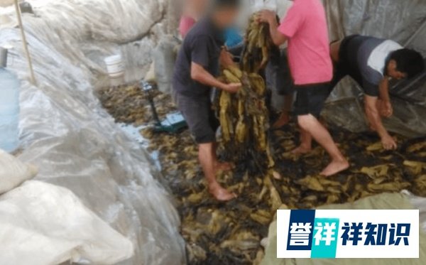又冲击年度沙雕新闻了？一男子冒充官方人员疯狂没收老坛酸菜面