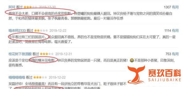 《宠爱》影评:元旦黑马作品,你看哭了么?豆瓣仅6.2分