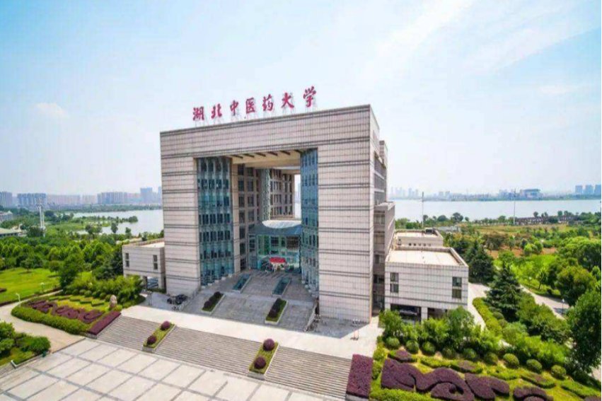 补录最多的大学