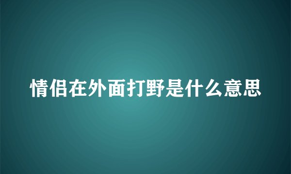 情侣在外面打野是什么意思