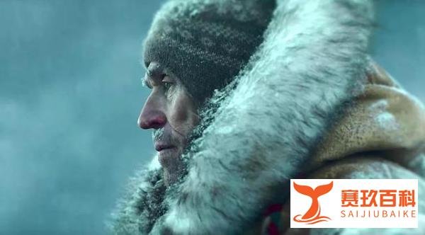 迪士尼复活感人大片《多哥》，神犬在暴雪中的惊心动魄