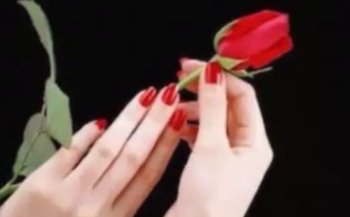 与“予人玫瑰,手有余香”意思相近的谚语有什么?
